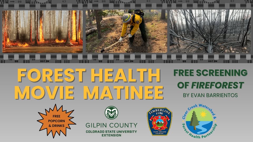 Forest Health Movie Matinee Flyer as described in listing.