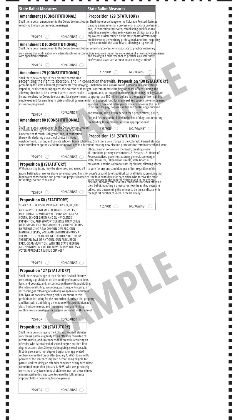 Back of sample ballot for Central City